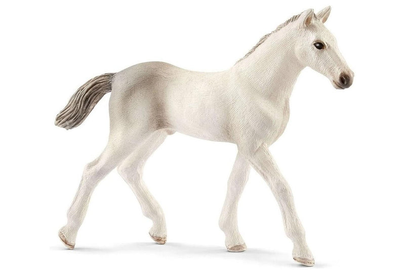 Schleich: Holsteiner Foal