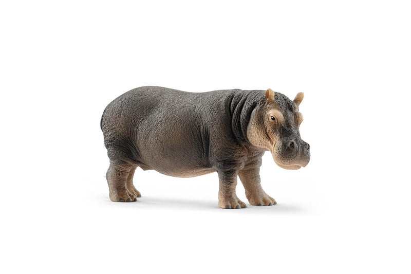 Schleich : Hippopotamus