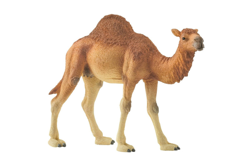 Schleich - Dromedary Camel