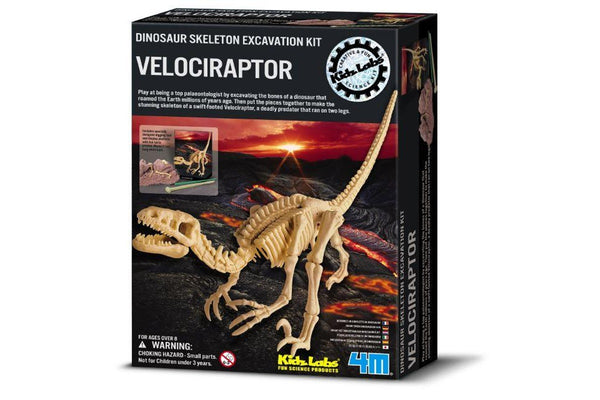 4M: Excavation Kits - Velociraptor Skeleton