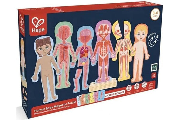 Hape: Human Body Magnetic Puzzle