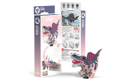 Eugy: Spino - 3D Cardboard Model