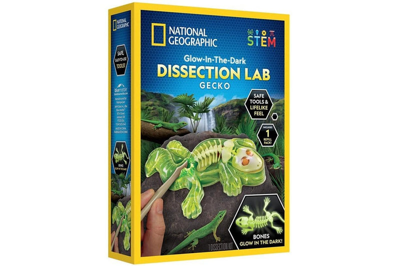 National Geographic: Gecko Dissection Lab