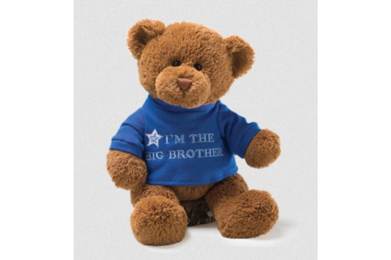 Gund: Bear: Big Brother (Blue)