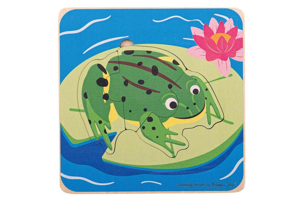 4pc Bigjigs Toys 15cm Lifecycle Layer Jigsaw Puzzle Frog Kids Wooden Toy 18m+