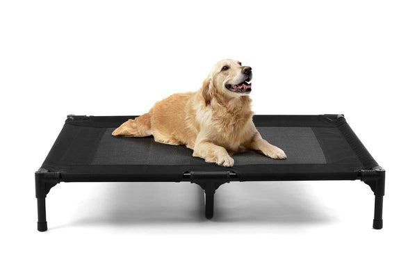 Pawever Pets Dog Trampoline Bed (X Large)