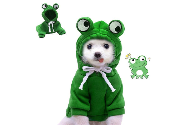 PETSWOL Large Pet Jacket - Frog