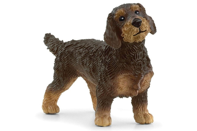 Schleich: Wire-Haired Dachshund