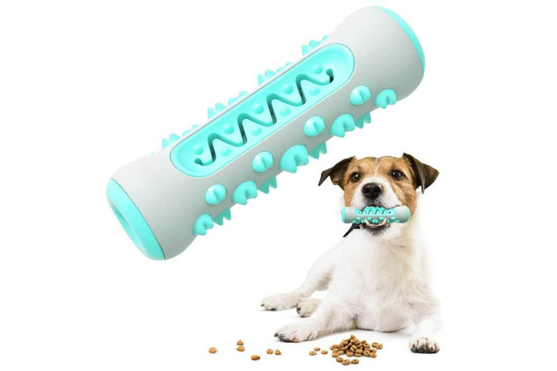 Dog Chew & Teeth Cleaning Toy - Blue