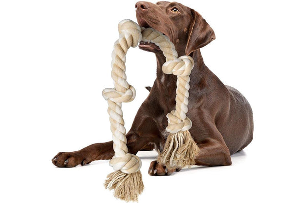 Zoomies Dog Rope Toy - Khaki