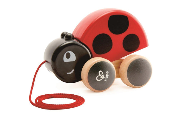 Hape: Lady Bug - Pull Along Toy