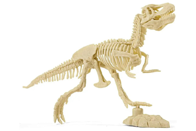 Dig & Discover: Tyrannosaurus Dig Kit