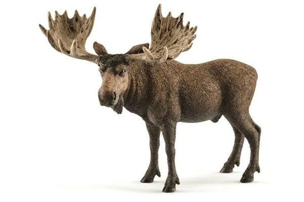 Schleich: Moose Bull