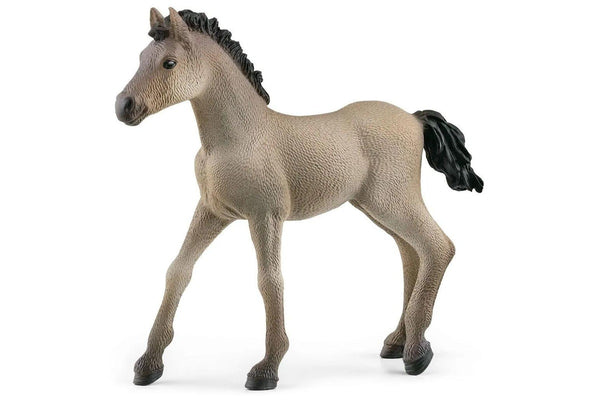 Schleich - Criollo Definitivo Foal