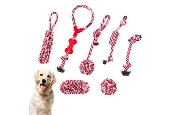 ZOOMIES 7-Piece Heavy Duty Leash Toy Set