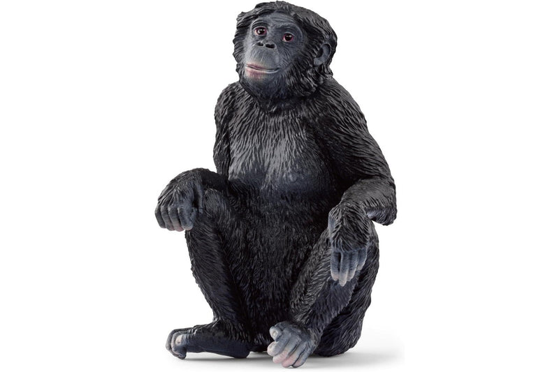 Schleich: Bonobo Female