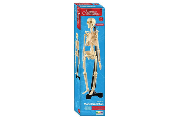 Australian Geographic - Mini-Skeleton (46cm)