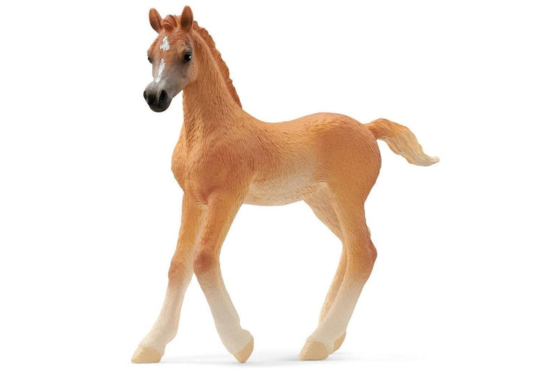 Schleich: Arabian Foal