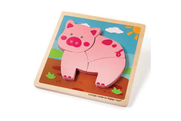 4pc Bigjigs Toys 15cm Chunky Lift Out Puzzle Pig Kids Wooden Sensory Toy 10m+