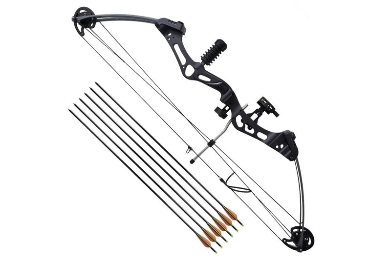 Adult Compound Bow with Accessories and Fiberglass Arrows vidaXL