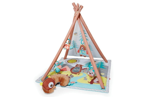 Skip Hop Camping Cubs Activity Gym