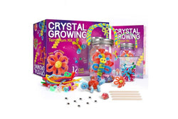 Crystal Growing Terrarium Kit