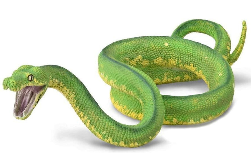 CollectA: Green Tree Python