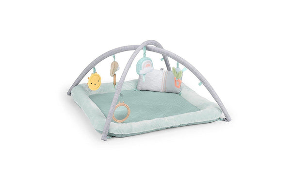 Ingenuity: Calm Springs Plush Activity Gym