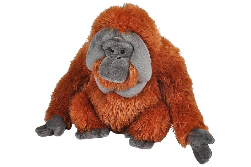 Wild Republic: Orangutan - 12" Cuddlekins Plush