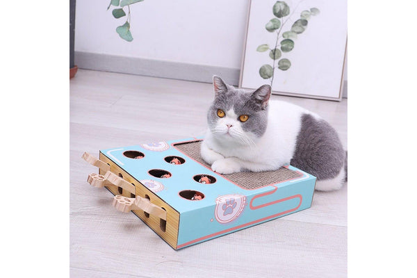 Pets Cat Scratcher 3 in 1 Interactive Cat Toy Cat Scratcher Cardboard