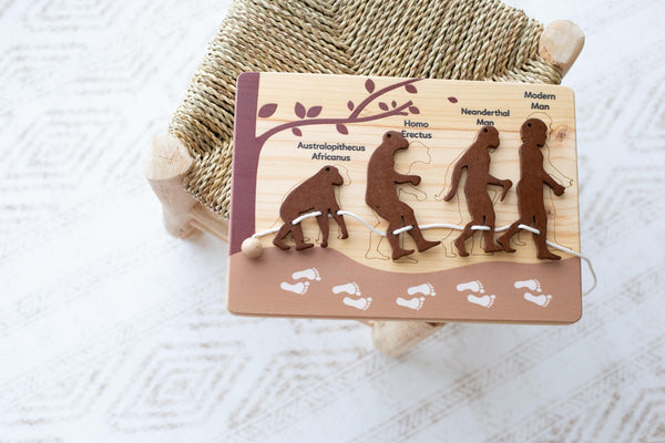 Human evolution puzzle and lacing set