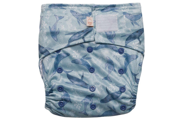 Nestling: Sassy SIMPLE Nappy Complete - Whales (One Size)