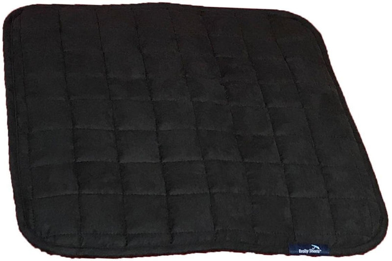 Brolly Sheets: Pet Chair Pad / Place Mat - Black (Medium)