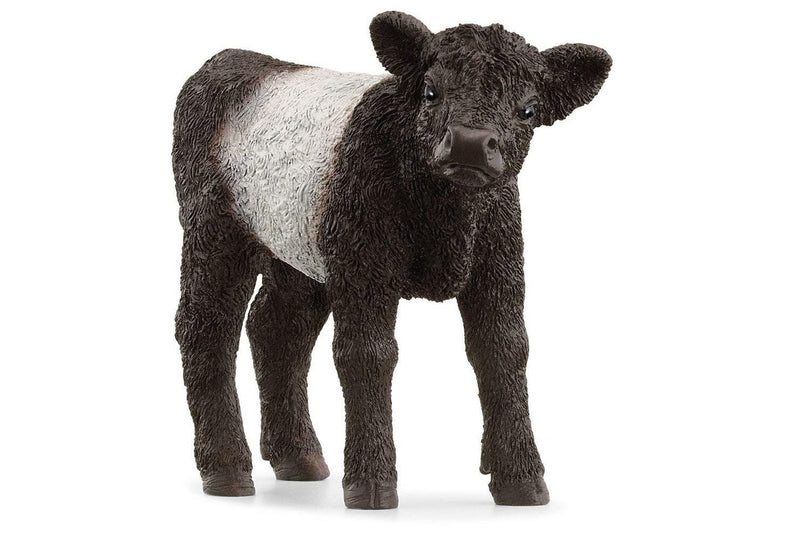 Schleich: Galloway Calf