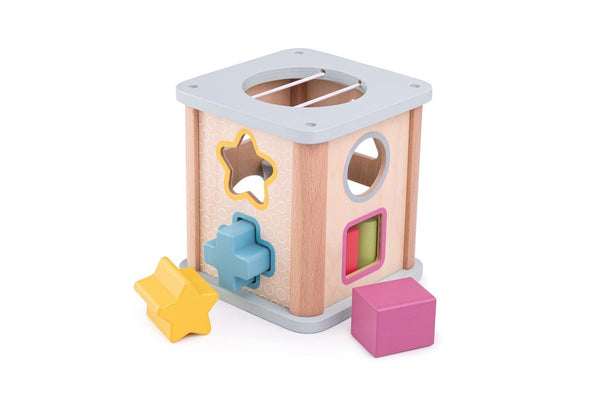 Bigjigs Toys 13cm FSC Shape Sorter Kids Children Educational Wooden Play Toy 1+