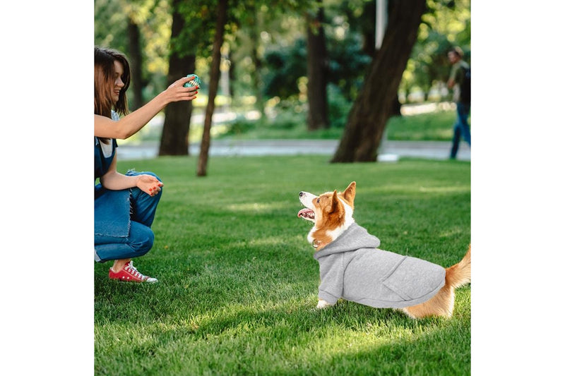 PETSWOL Dog Hoodie with Pocket - Grey, XL