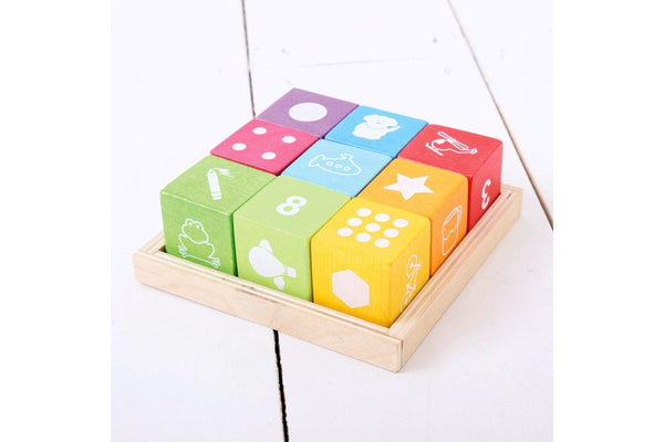 10pc Bigjigs Toys Picture Blocks Wooden Toy Kids Fun Sensory Activity Play 12m+