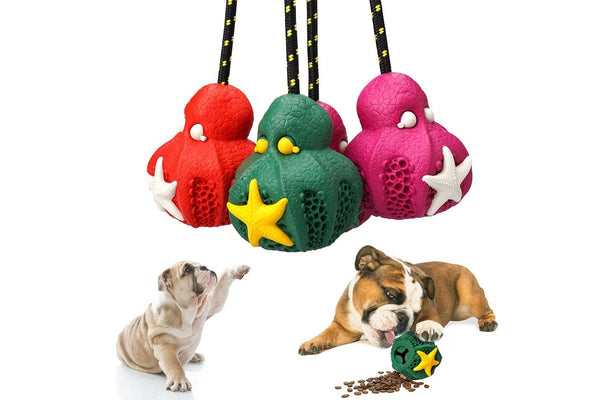 Petopia Ultra Tough Rubber Reef Octopus Dog Toy Treat Dental Medium Assorted