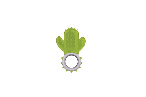 Puppy Teething Toy Cactus - Dog Dental Gel Cold Chew - Non Toxic AFP