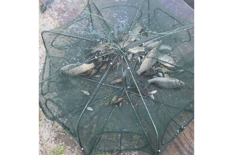 6 / 8 Holes Automatic Fishing Net Cage Portable Foldable Crab Shrimp Trap Nets