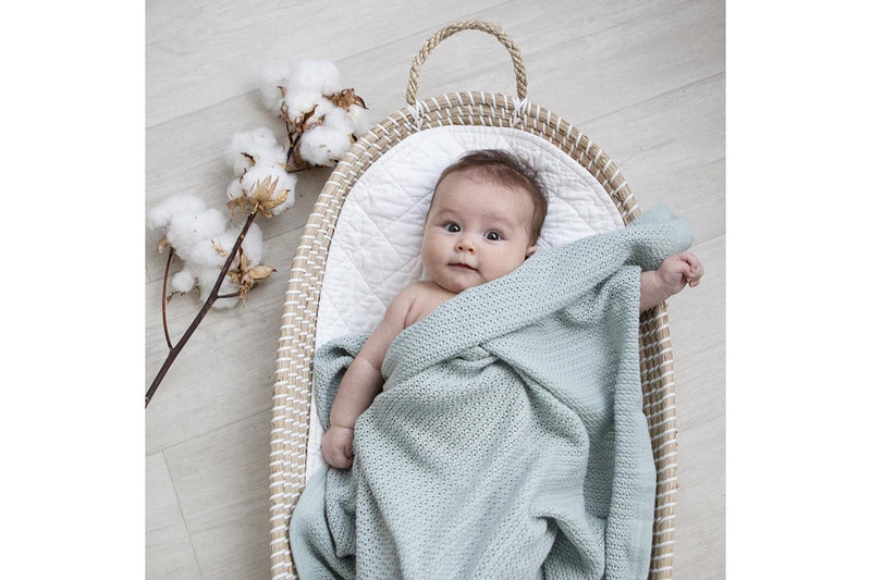 Living Textiles Baby 100cm Organic Cotton Bassinet Cradle Cellular Blanket Sage