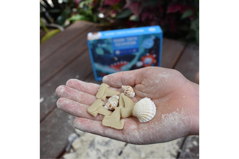 Jarmelo Fossils Excavation Kit Shark Digging Fun Activity Play Set Game Toy 6+