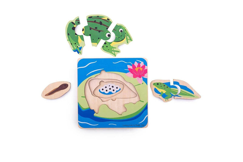 4pc Bigjigs Toys 15cm Lifecycle Layer Jigsaw Puzzle Frog Kids Wooden Toy 18m+