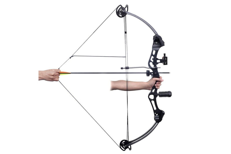 Adult Compound Bow with Accessories and Fiberglass Arrows vidaXL