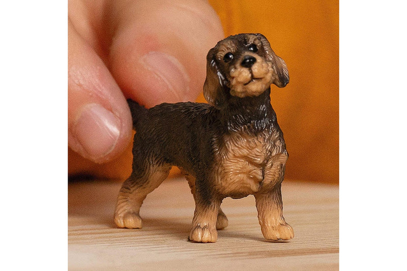 Schleich: Wire-Haired Dachshund