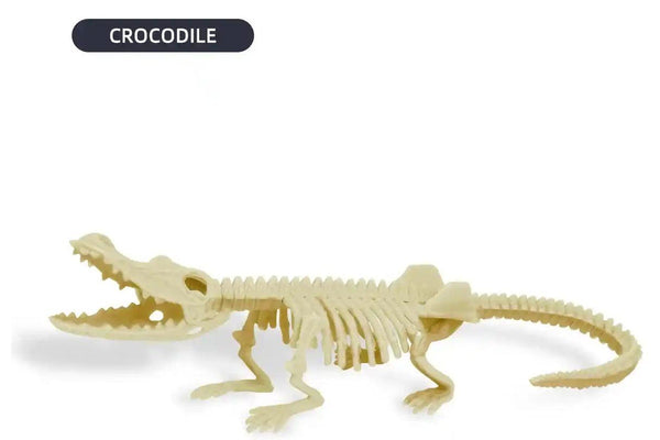 Dig & Discover: Crocodile Dig Kit