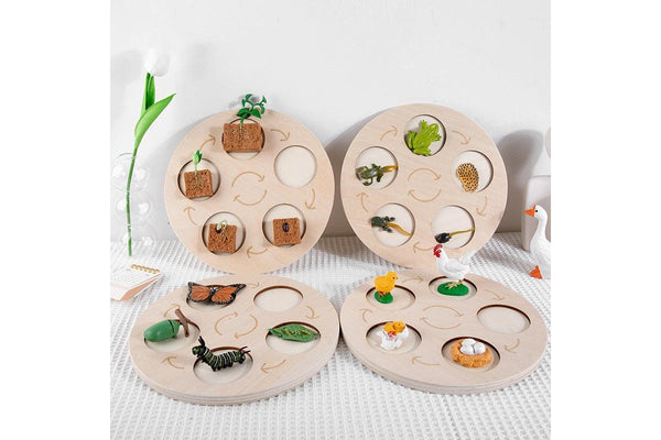 Children Cognitive Enlightenment Insect Animal Life Growth Cycle Educational To Educational Toys