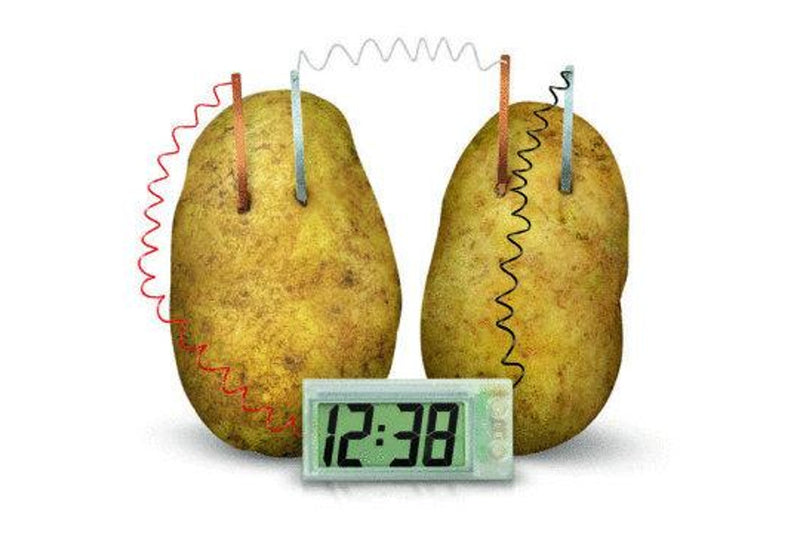 4M: Green Science Potato Clock