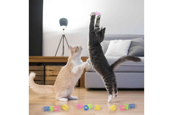 40Pcs Cat Spring Toys Colorful Cat Spiral Bouncy Toys Interactive Toys for Cats and Kittens