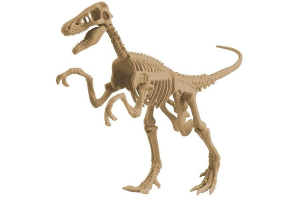 Edu-Toys: Dig It! Velociraptor